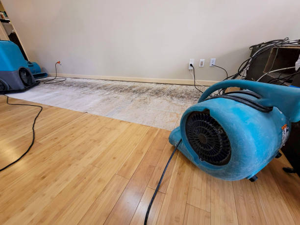 Professional Flood Damage Cleanup technician working in Richmond, VA